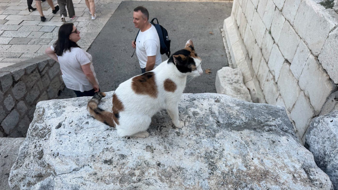 Journal photo from Split, Croatia — photo 3 of 7