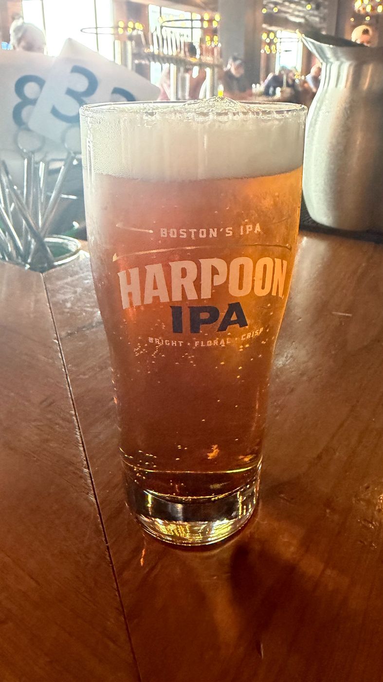 Boston Seaport seen during a brewery crawl